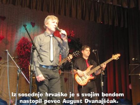 8. tradicionalni Valentinov koncert 2014 23